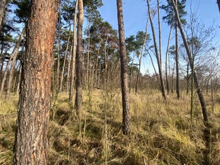 Pozemek 2203 Kostelní Lhota, okres Nymburk