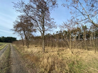 Pozemek 2203 Kostelní Lhota, okres Nymburk