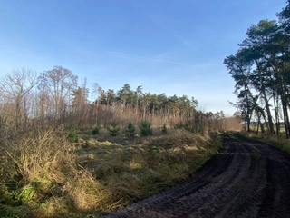 Pozemek 2203 Kostelní Lhota, okres Nymburk
