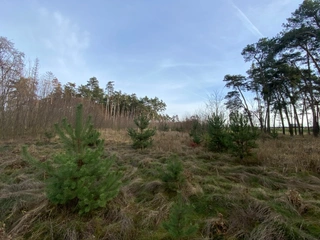Pozemek 2203 Kostelní Lhota, okres Nymburk