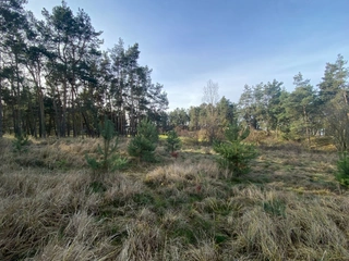 Pozemek 2203 Kostelní Lhota, okres Nymburk