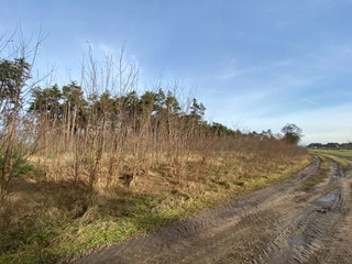 Pozemek 2203 Kostelní Lhota, okres Nymburk
