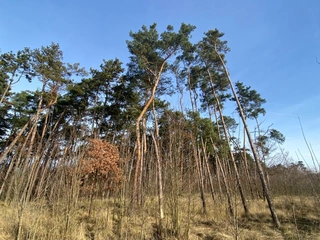 Pozemek 2203 Kostelní Lhota, okres Nymburk
