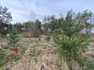 Pozemek 2203 Kostelní Lhota, okres Nymburk