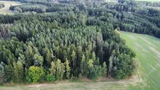 Zdešov lesní pozemky - část A 10 268 m2