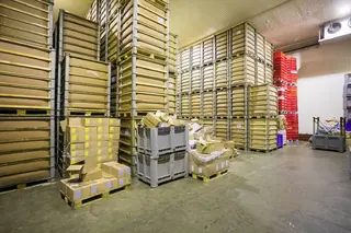 Areál mrazíren a stavebního pozemku v Mikulově o celkové rozloze 9.387m2