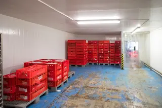 Areál mrazíren a stavebního pozemku v Mikulově o celkové rozloze 9.387m2