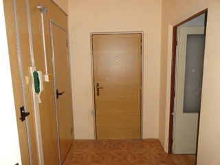 Byt 1+1 Holýšov