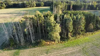 Zdešov lesní pozemky - část C 4 370 m2