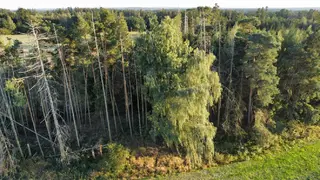 Zdešov lesní pozemky - část C 4 370 m2