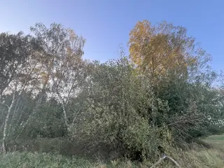 Zdešov lesní pozemky - část C 4 370 m2