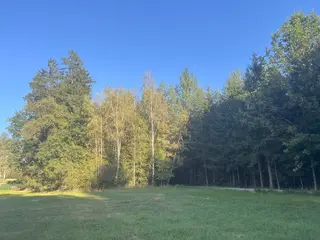 Zdešov lesní pozemky - část D 4988 m2