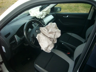  E - aukce ČEZ ŠKODA FABIA, RZ 1TH8178
