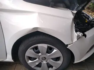 E - aukce ČEZ ŠKODA FABIA, RZ 1TI8048