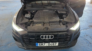 EZE 02 - Audi Q8 50 tdi, 6M7 0487