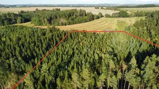 Zdešov lesní pozemky - část F 8 517 m2