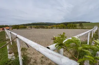 Farma Nemochovice, okres Vyškov