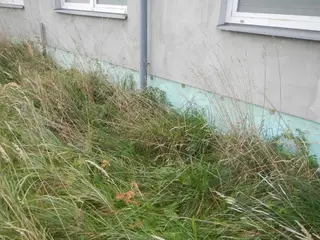 Hala obec Habry, okres Havlíčkův Brod