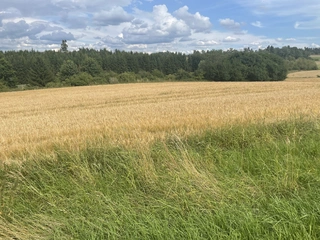 Pozemky v obci Krásněves v podílu id. 1/3, okres Žďár nad Sázavou 