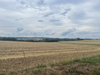 Pozemky v obci Krásněves v podílu id. 1/3, okres Žďár nad Sázavou 