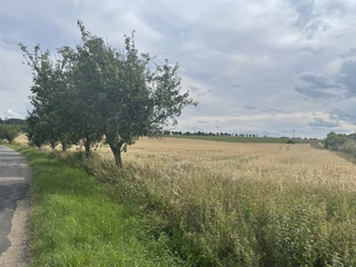 Pozemky v obci Krásněves v podílu id. 1/3, okres Žďár nad Sázavou 