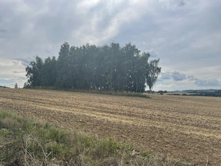 Pozemky v obci Krásněves v podílu id. 1/3, okres Žďár nad Sázavou 