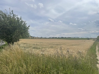 Pozemky v obci Krásněves v podílu id. 1/3, okres Žďár nad Sázavou 