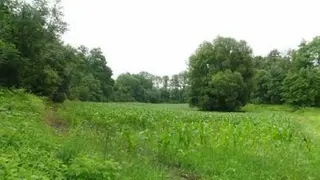 ideální podíly na pozemcích v k.ú. Dlouhá Ves u Rychnova nad Kněžnou, Čunín, Růžov na Moravě