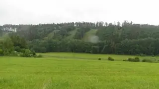 ideální podíly na pozemcích v k.ú. Dlouhá Ves u Rychnova nad Kněžnou, Čunín, Růžov na Moravě