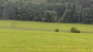 ideální podíly na pozemcích v k.ú. Dlouhá Ves u Rychnova nad Kněžnou, Čunín, Růžov na Moravě