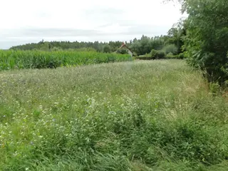 Pozemky v obci Ruprechtov