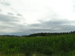 Pozemky v obci Ruprechtov