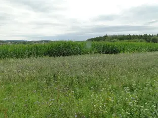 Pozemky v obci Ruprechtov