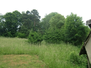 Jamné nad Orlicí