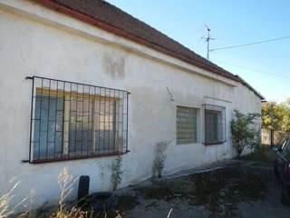 Jatka Lipec - W-STEMASO