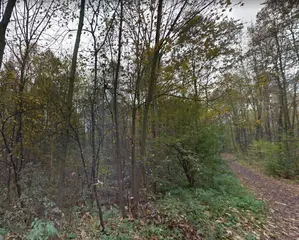 Lesní pozemky a vodní plocha k.ú. Kunčičky u Bašky - spoluvlastnický podíl id.1/2 k celkové ploše 3599 m2