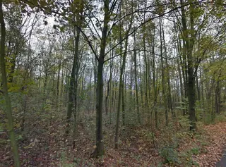 Lesní pozemky a vodní plocha k.ú. Kunčičky u Bašky - spoluvlastnický podíl id.1/2 k celkové ploše 3599 m2
