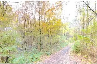 Lesní pozemky a vodní plocha k.ú. Kunčičky u Bašky - spoluvlastnický podíl id.1/2 k celkové ploše 3599 m2