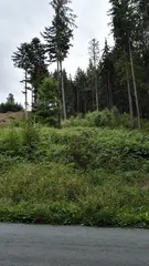 Les-Jaroměřice