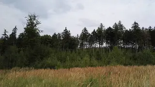 Les-Jaroměřice