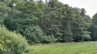 Les - Slatina u Jevíčka