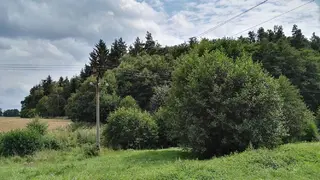 Les - Slatina u Jevíčka