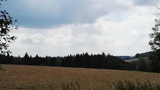 Les - Slatina u Jevíčka