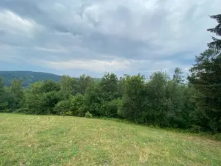 Lesní pozemek Jakubovice u Šumperka, okres Šumperk 