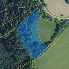 Lesní pozemek Jakubovice u Šumperka, okres Šumperk 