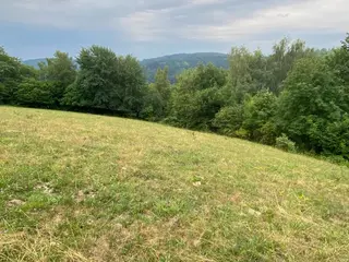 Lesní pozemek Jakubovice u Šumperka, okres Šumperk 