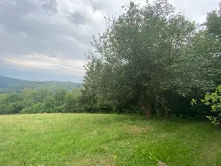 Lesní pozemek Jakubovice u Šumperka, okres Šumperk 