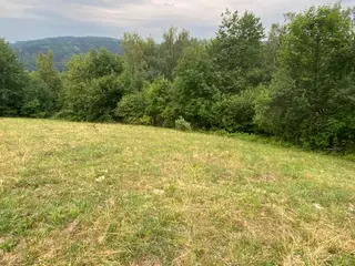 Lesní pozemek Jakubovice u Šumperka, okres Šumperk 