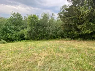 Lesní pozemek Jakubovice u Šumperka, okres Šumperk 