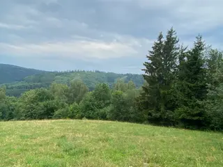 Lesní pozemek Jakubovice u Šumperka, okres Šumperk 